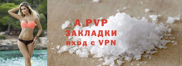 прущие грибы Зеленокумск