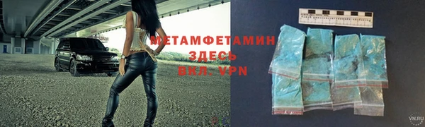 прущие грибы Зеленокумск
