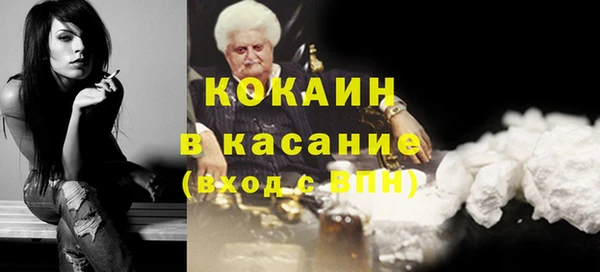прущие грибы Зеленокумск