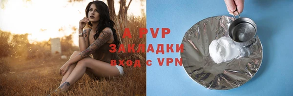 прущие грибы Зеленокумск