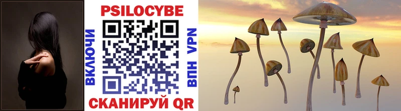 Галлюциногенные грибы Cubensis  Купить закладки  Кочубеевское 