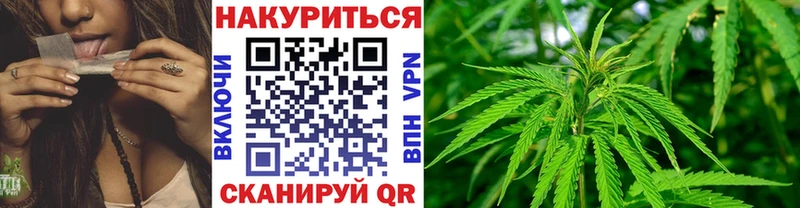 Купить закладки  Кочубеевское  Шишки марихуана SATIVA & INDICA 